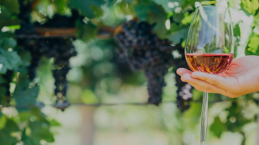 Tips and Tricks for a Successful Wine-Tasting Experience
